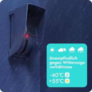 Innovative Perimeterüberwachung: Die Potenziale des AOCD-260 BE WAVE Außen-Vorhangdetektors für Ihr Portfolio