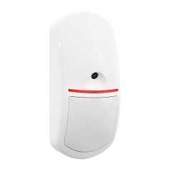 APCAM-200 Kamera-Bewegungsmelder 868 MHz Funk - BE WAVE System